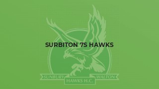 Surbiton 7s Hawks