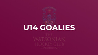 U14 Goalies