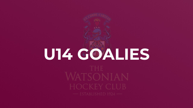 U14 Goalies