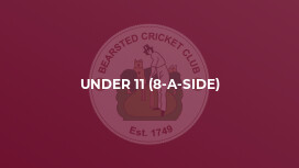 Under 11 (8-a-side)