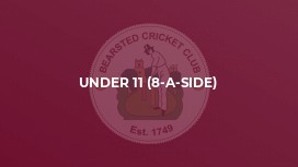 Under 11 (8-a-side)