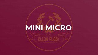 Mini Micro