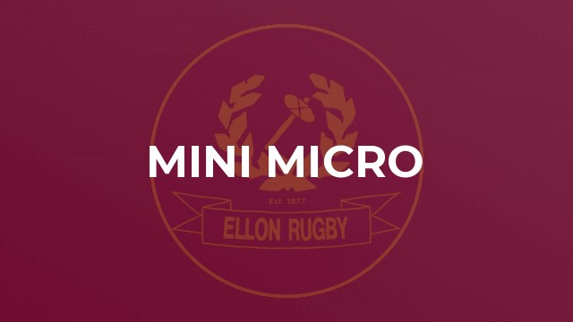 Mini Micro