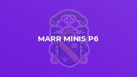 Marr Minis P6