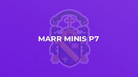 Marr Minis P7