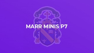 Marr Minis P7