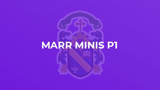 Marr Minis P1