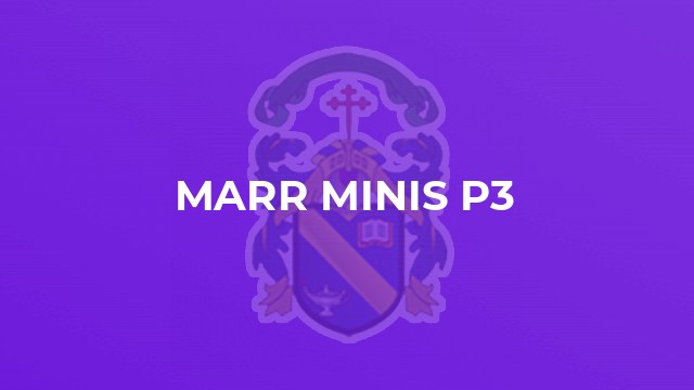 Marr Minis P3