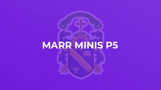 Marr Minis P5