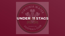Under  11 Stags