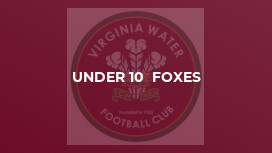 Under 10  Foxes