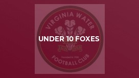 Under 10 Foxes