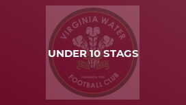 Under 10 Stags