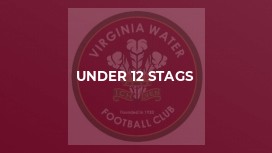 Under 12 Stags