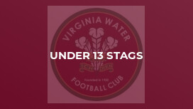 Under 13 Stags