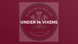 Under 14 Vixens