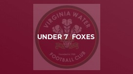 Under 7  Foxes