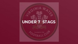 Under 7  Stags