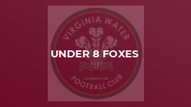 Under 8 Foxes