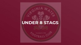 Under 8 Stags