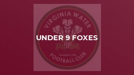 Under 9 Foxes