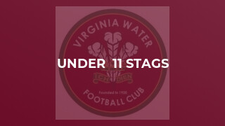 Under  11 Stags