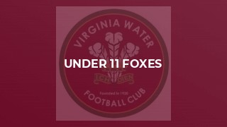 Under 11 Foxes