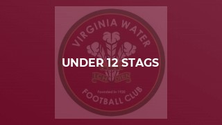 Under 12 Stags