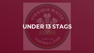 Under 13 Stags