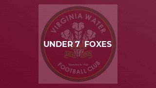 Under 7  Foxes