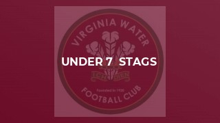 Under 7  Stags