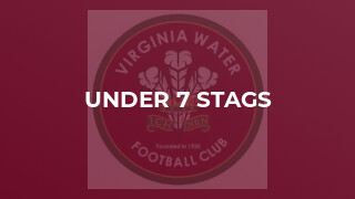 Under 7 Stags