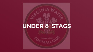 Under 8  Stags