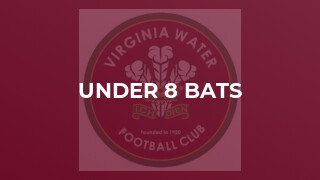 Under 8 Bats