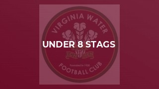 Under 8 Stags