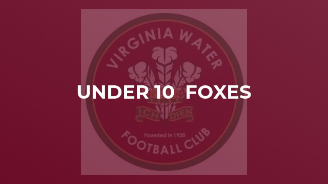 Under 10  Foxes