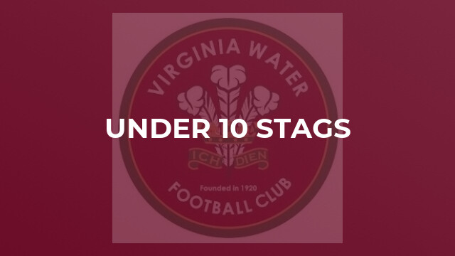Under 10 Stags