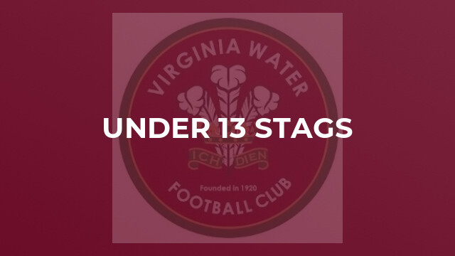 Under 13 Stags