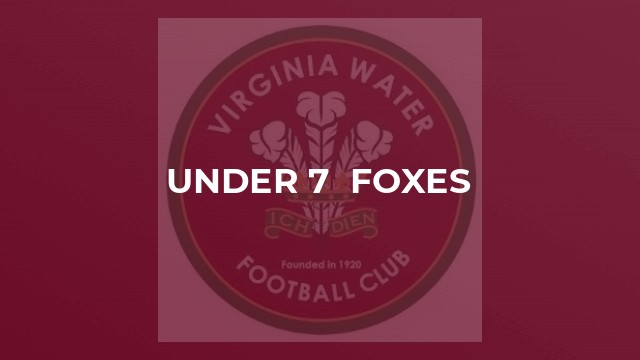 Under 7  Foxes