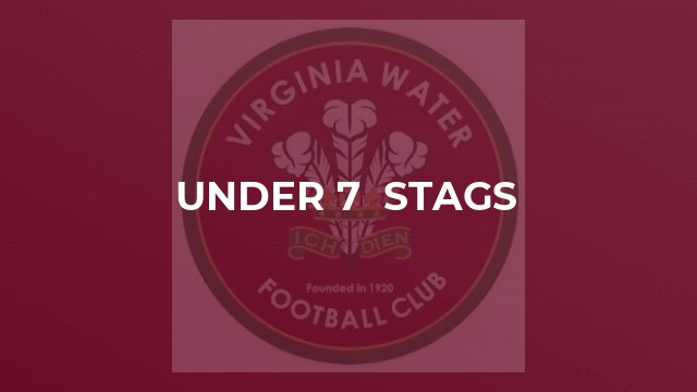 Under 7  Stags