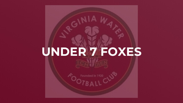 Under 7 Foxes