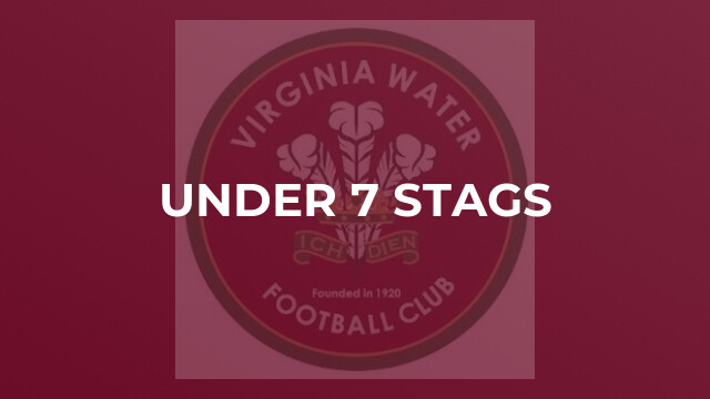 Under 7 Stags