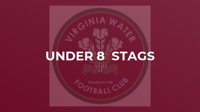 Under 8  Stags