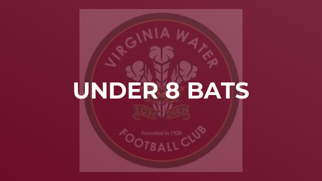 Under 8 Bats