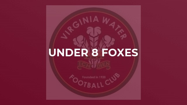 Under 8 Foxes