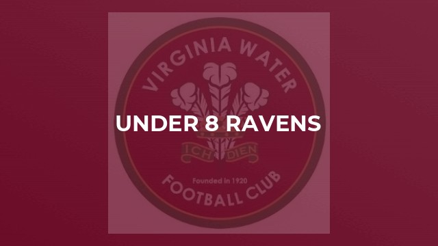 Under 8 Ravens