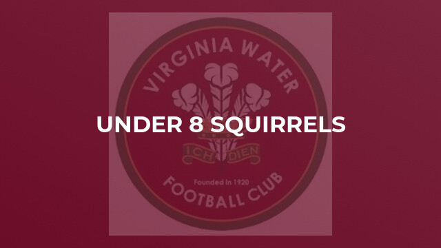 Under 8 Squirrels