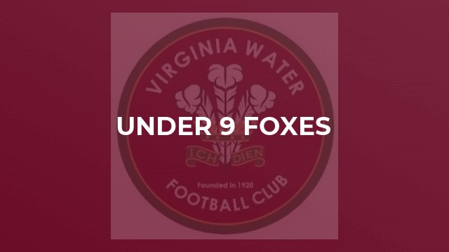 Under 9 Foxes