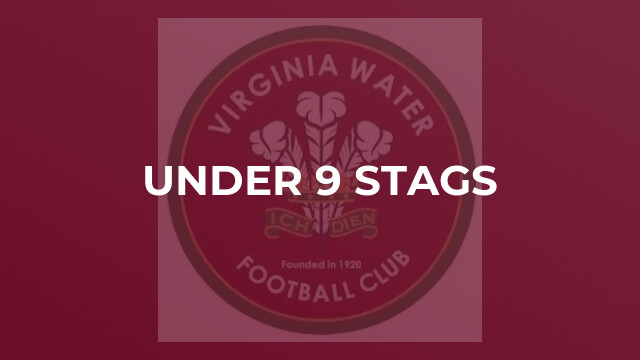 Under 9 Stags