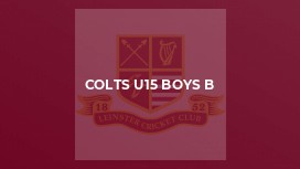 Colts U15 Boys B